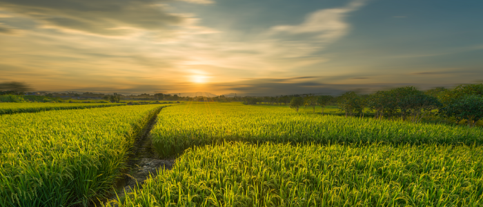 会员动态 | 常创集团助力书写乡村振兴答卷
